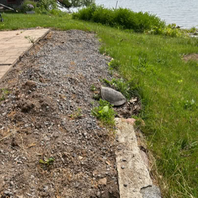 A turtle on a gravel bank near a grassy area with a body of water in the background.