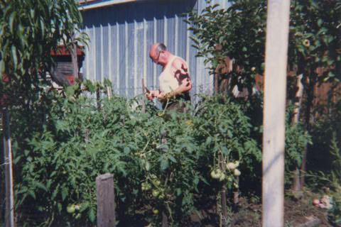 A person tending to a garden with tall plants and a blue shed in the background.