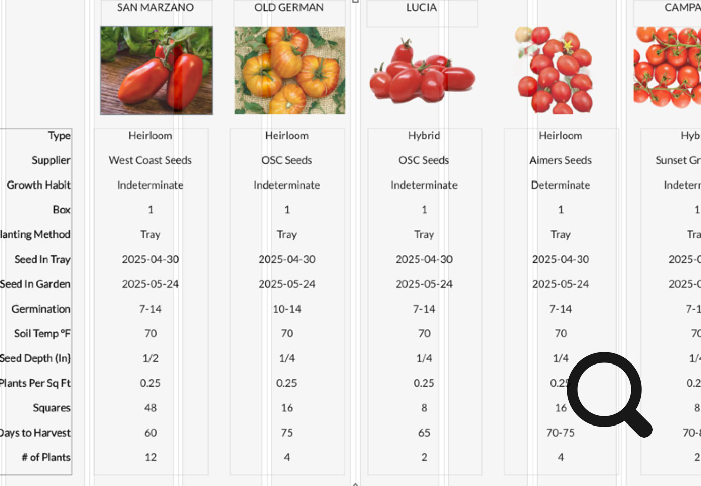 A comparison table of four tomato varieties with images at the top, showing various attributes like supplier, location, price, and other specifications.