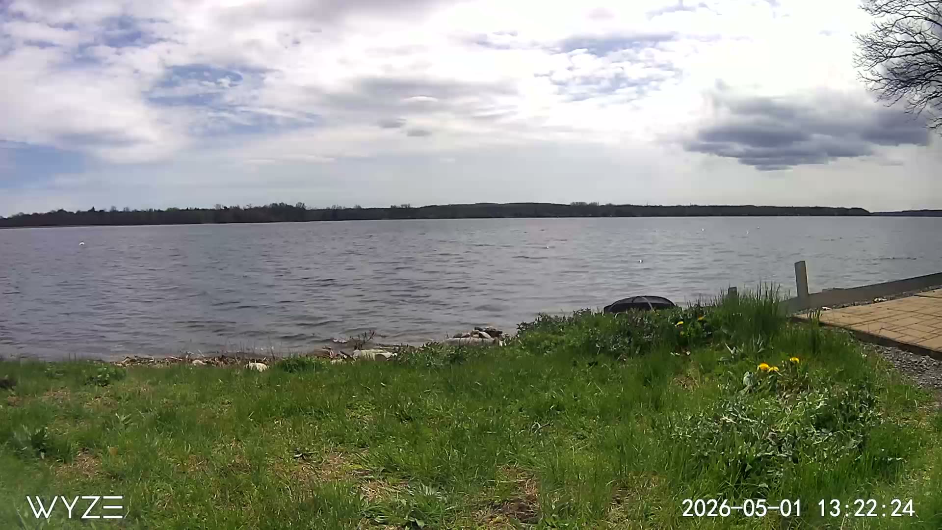 South webcam view